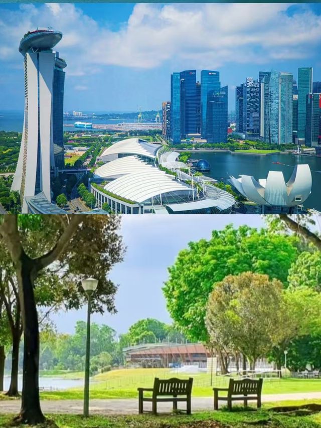 新加坡之旅剛結束，朋友圈已被瘋狂追問。