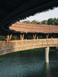 超預期嘅公園💯靚到震嘅曲線🌈  