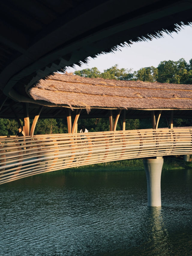 超預期嘅公園💯靚到震嘅曲線🌈  
