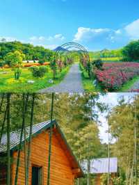 莫干山度假營地——山林秘境裡的環湖木屋