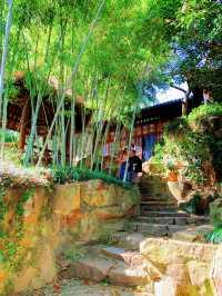杭州春日漫遊：西湖與西溪的桃花之約
