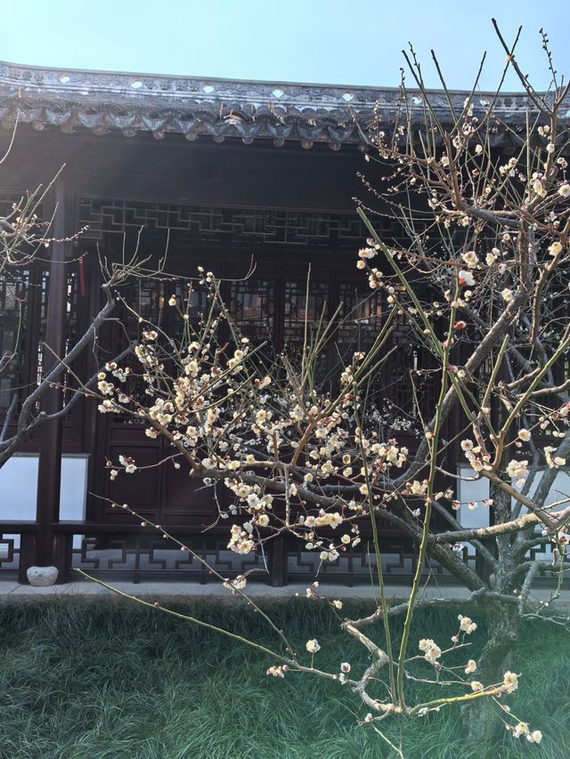 蘇州可園景區