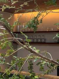 大理古城住了間漂亮屋