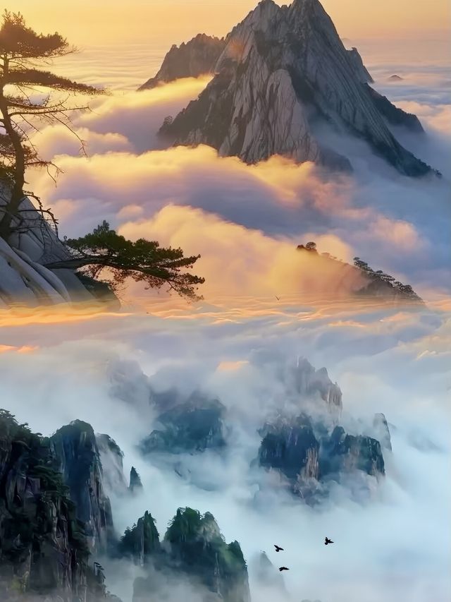 華山我的來了一日遊最強的攻略來啦