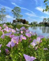 良渚公園