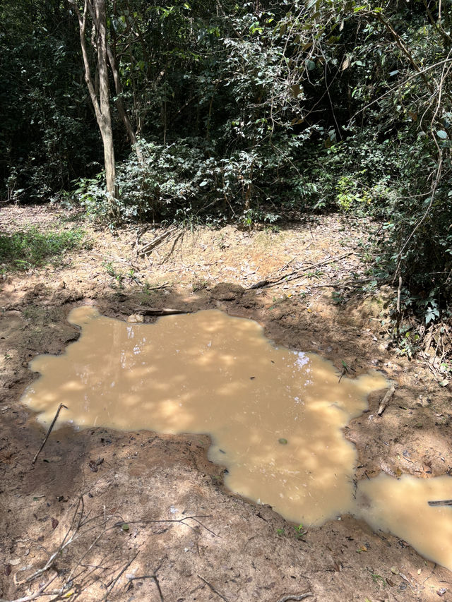 Kui Bari National Park