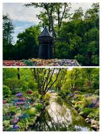 上海人嘅私藏！共青森林公園春天嘅王炸路線，錯過咗要等一年！