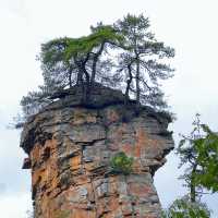 Zhangjiajie National Park (Wulingyuan) – Quick Guide