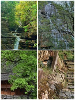 Chaye Secret Realm: Anhua's Niche Hit