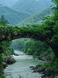 馬嶺古道帶娃驚魂記！這些保命招必睇