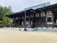 壇上伽藍的春日：在高野山相遇
