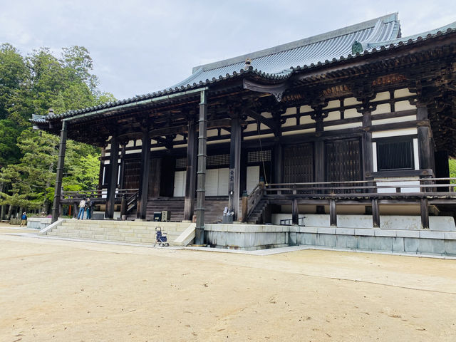 壇上伽藍的春日：在高野山相遇