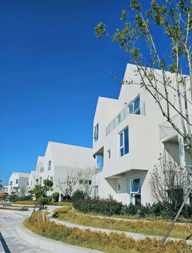 威海！布魯威斯！面朝大海嘅寶藏民宿！！