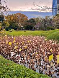 日本小石川後樂園攻略｜德川庭園與名剎 