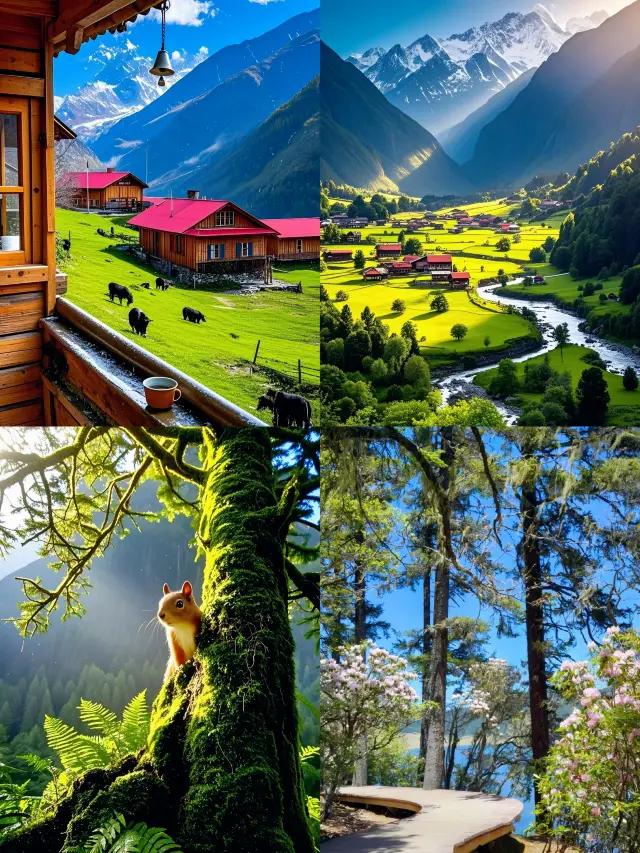 3-Day 2-Night Travel Guide to Diqing: Experience All the Scenic Beauty in One Trip