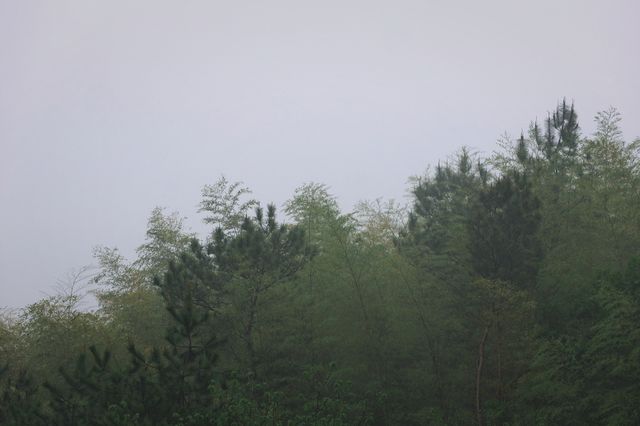 南京竟然有咁樣嘅地方