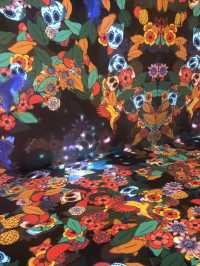 新加坡藝術科學博物館遊覽體驗