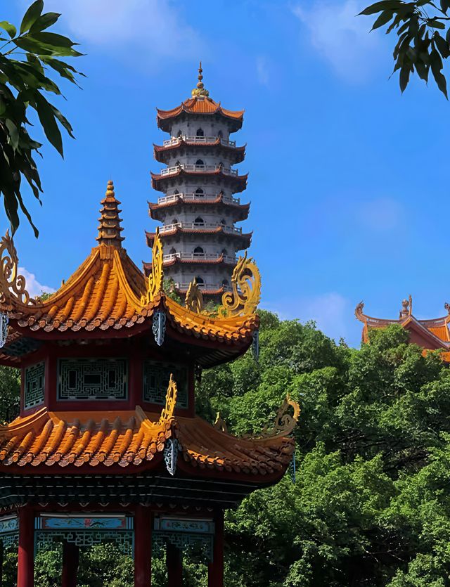 被呢間酒店圈粉，解鎖福州新玩法