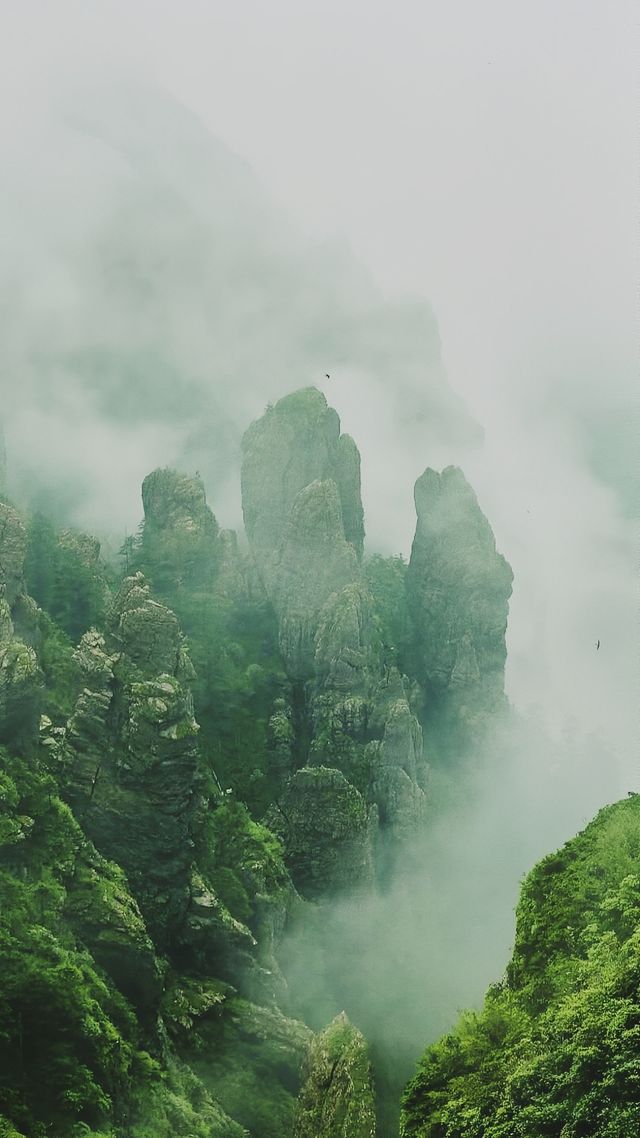 沉醉神農架：一場與絕美風景嘅浪漫邂逅