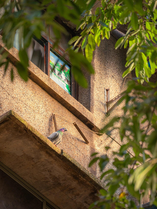 🚪 Did I Just Photograph My Childhood? (Or a Time Portal in Chongqing?)