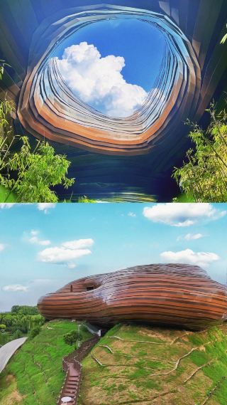 Liyang Nanshan Bamboo Sea | Step into a 35,000-acre Bamboo Wonderland! Ultimate One-Day Travel Guide