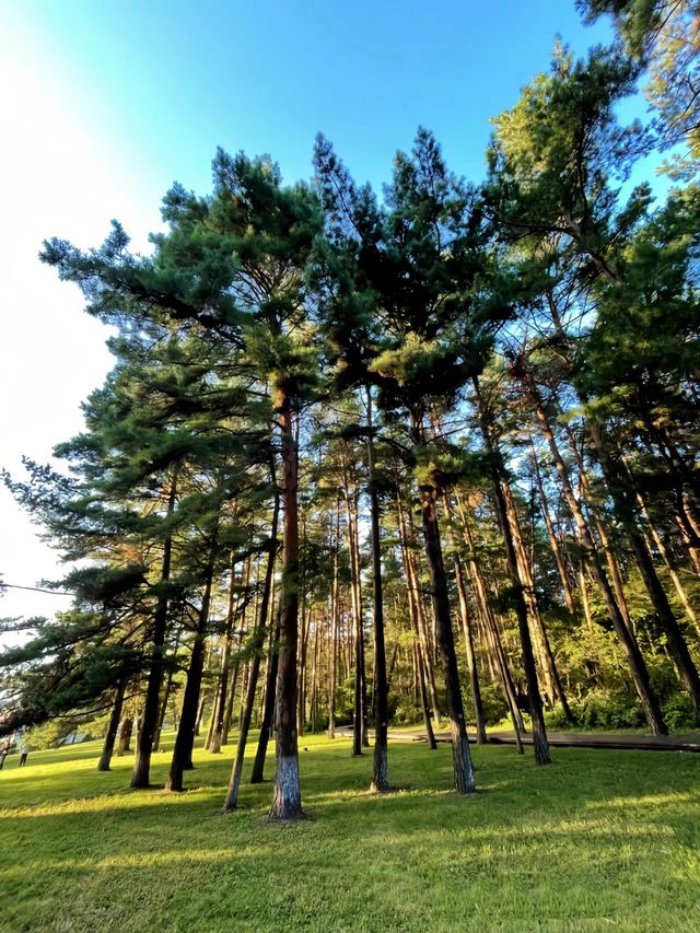 二道白河 | 邂逅夢幻與浪漫之地
