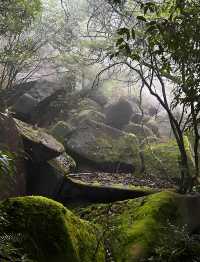 漳州貢鴨山森林公園：徒步探尋自然秘境