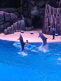 珠海3天2夜親子漫遊滿分攻略