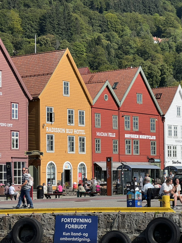 Bryggen, Fløyen, and Fjords: The Ultimate Bergen Experience 🇳🇴 🚢 