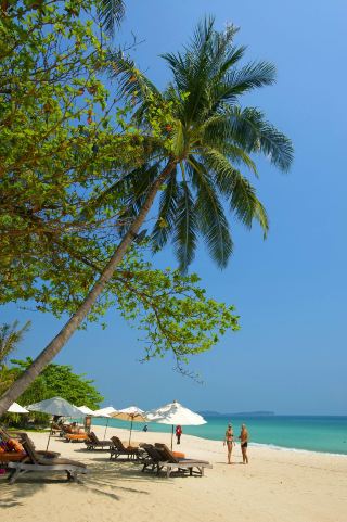 Koh Samui Travel Guide: Avoid These 5 Pitfalls or You'll Regret It!
