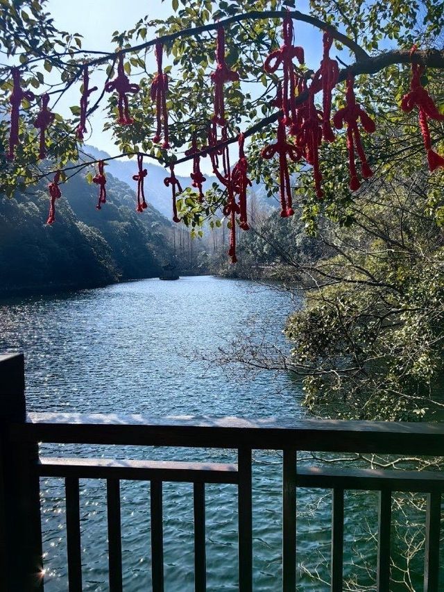 寧海森林溫泉旅遊攻略