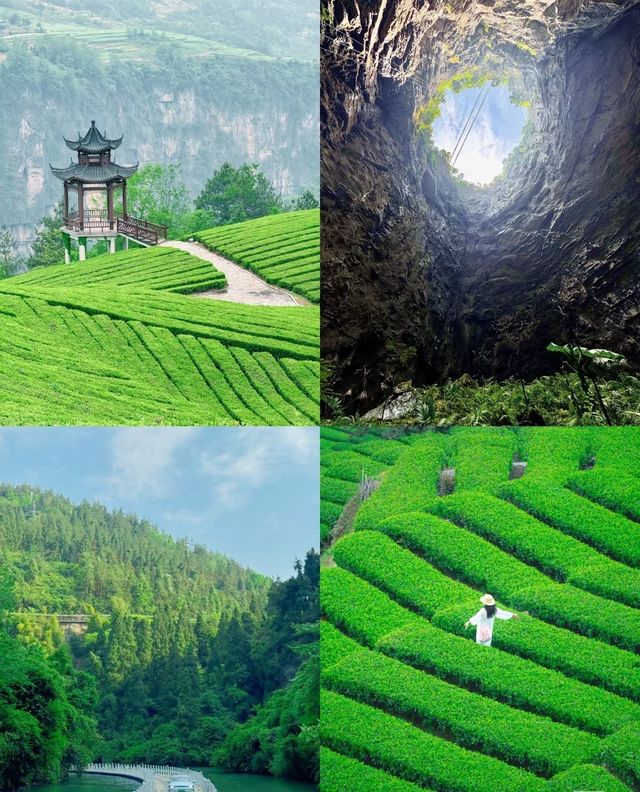 剛從恩施旅遊歸來，急不及待同大家分享真心話！