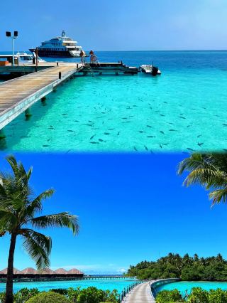 Maldives Island Selection Guide｜Stay in a Glass Sea Paradise for Just 10K RMB per Person