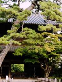*【忠臣蔵の舞台「泉岳寺」で歴史と癒しを体験】**  
