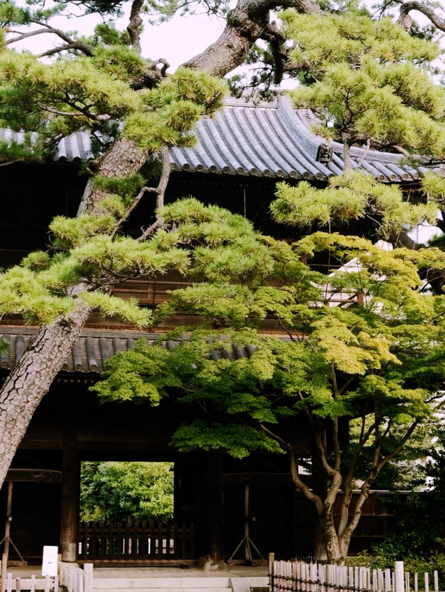 *【忠臣蔵の舞台「泉岳寺」で歴史と癒しを体験】**  