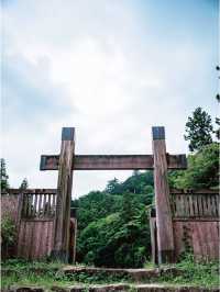  **【東京近郊の歴史探訪：八王子城跡で戦国時代を歩く】**  