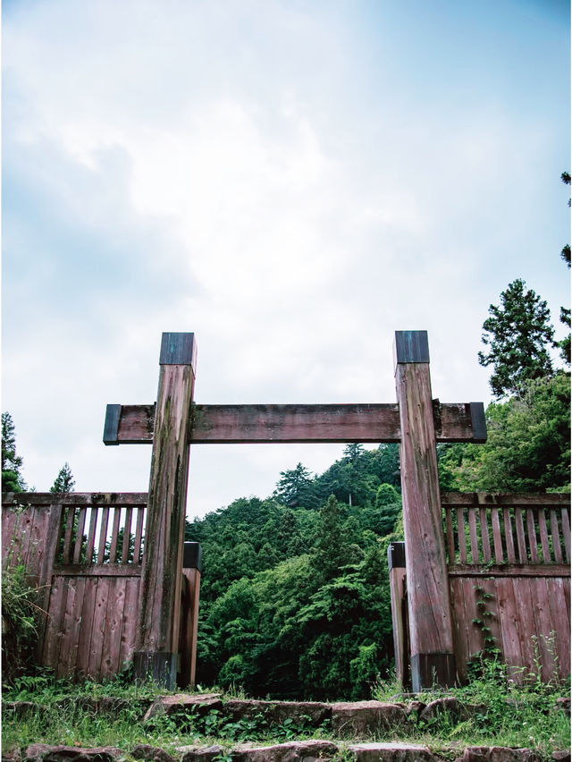  **【東京近郊の歴史探訪：八王子城跡で戦国時代を歩く】**  