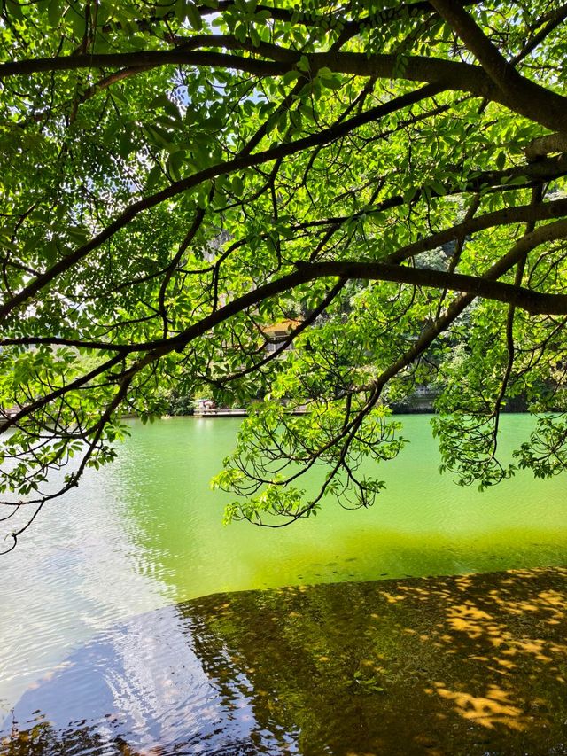 柳州龍潭公園影相避坑指南！避開人潮影出ins風大片