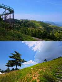 在湖北！21º嘅高山草原，夏天真係舒服到震～