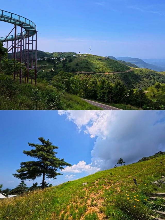 在湖北！21º嘅高山草原，夏天真係舒服到震～