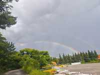 【貴州安順植物園向日葵花海深度遊】21℃清涼避暑