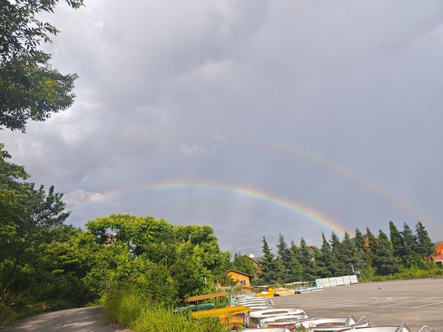 【貴州安順植物園向日葵花海深度遊】21℃清涼避暑