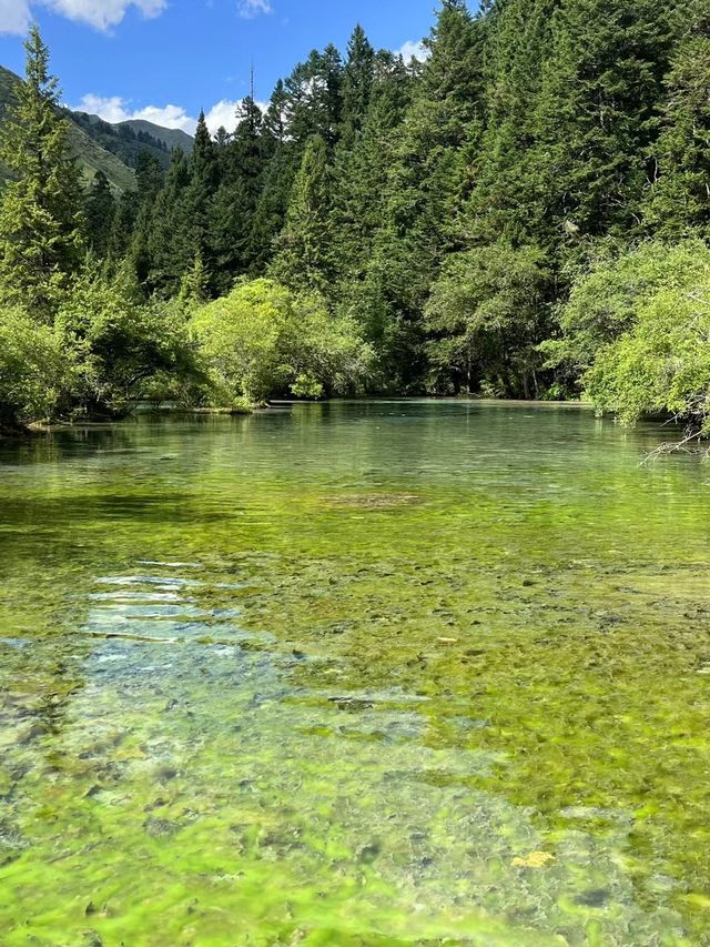 人間瑤池，黃龍已回，我講啲唔同嘅嘢