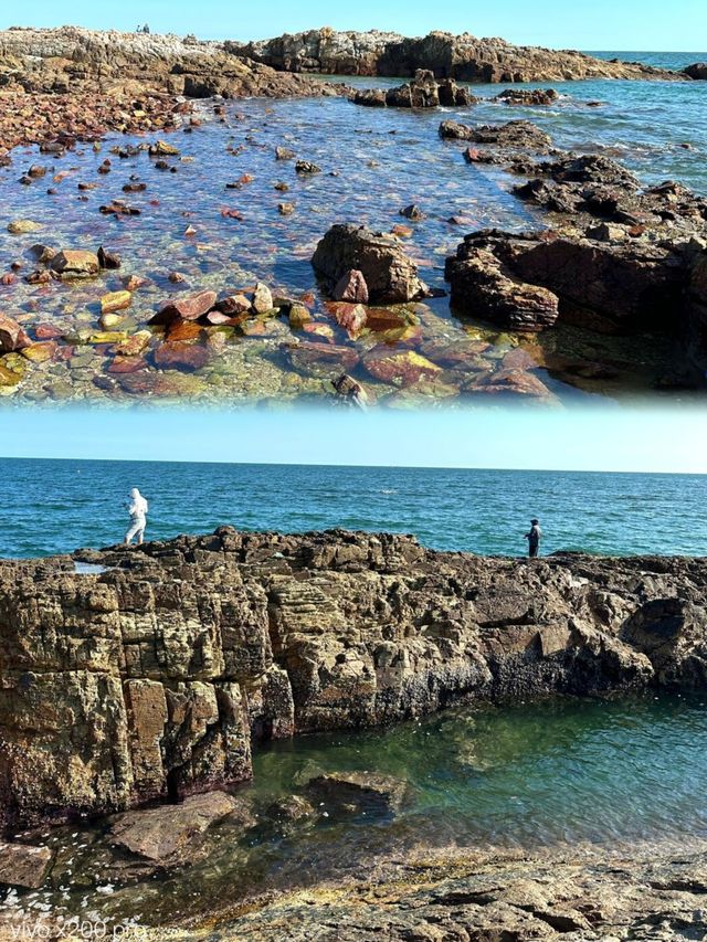 深圳&周邊趕海湊仔秘笈 帶娃挖蜆、捉蟹超減壓！
