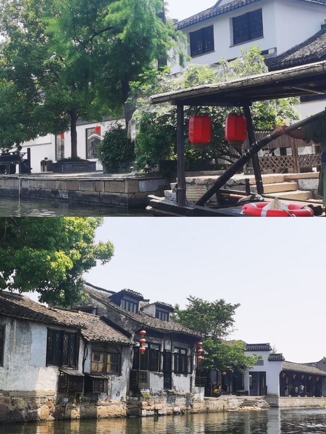 嘉善歸來,講啲難聽嘅大實話 嘉善歸來,講啲難聽嘅大實話