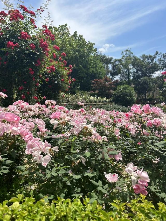 人隨花好