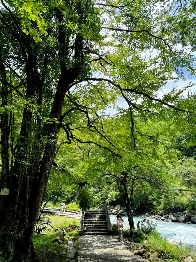 成都周邊|雅安喇叭河遛娃避暑一日遊! 成都周邊|雅安喇叭河遛娃避暑一日遊!