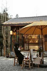 這個夏天，我把自己徹底交給了森林。