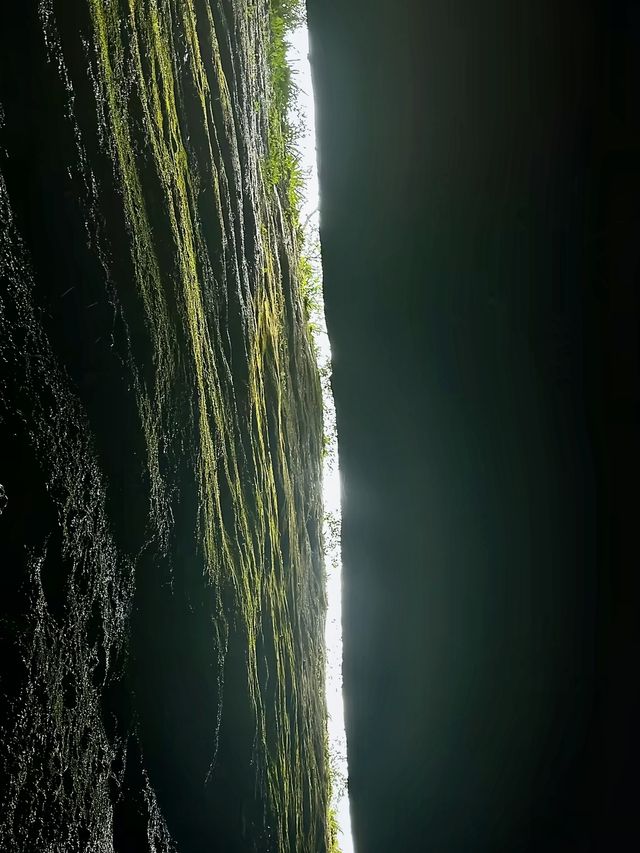 武夷山：被3.4億人圍觀的仙境，每一幀都美到窒息！