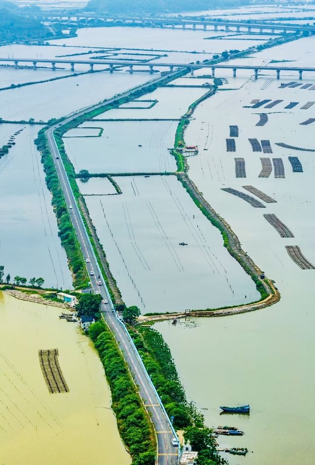 閩粵必看灘塗奇觀 閩粵必看灘塗奇觀